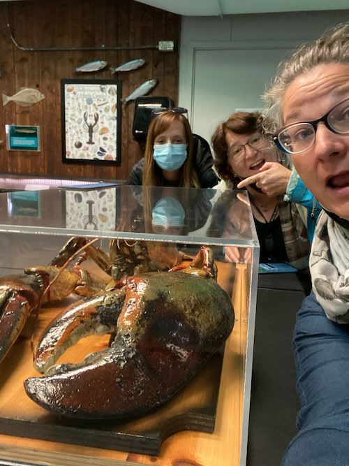 A “selfie” of three women grouped around a giant lobster in a tank.